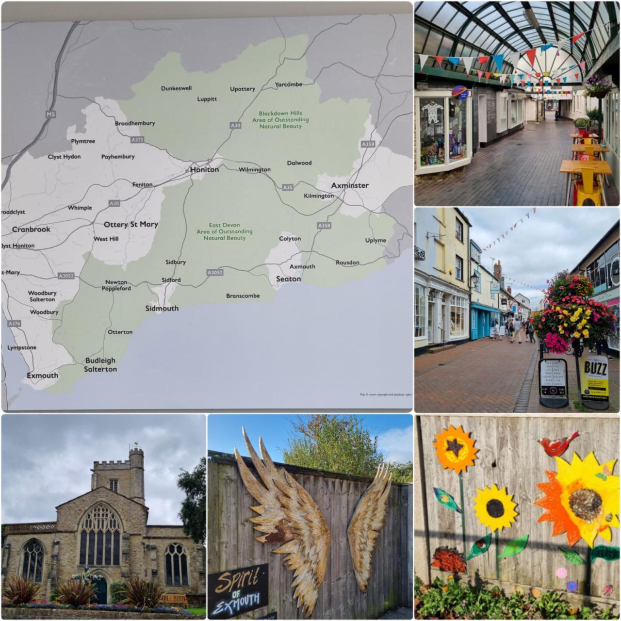 Collage of images of towns in East Devon