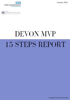 15 steps report cover torbay