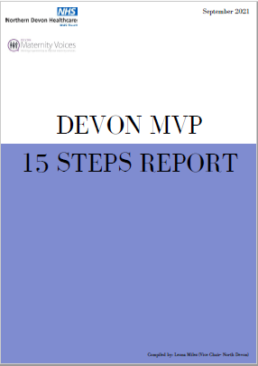 15 steps report cover