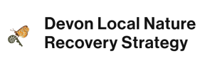 Devon Local Nature Recovery Strategy logo
