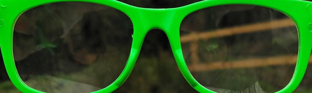 bright green glasses looking onto a rural field
