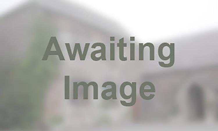 Awaiting image
