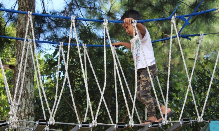 young boy climbing over a rope bridge