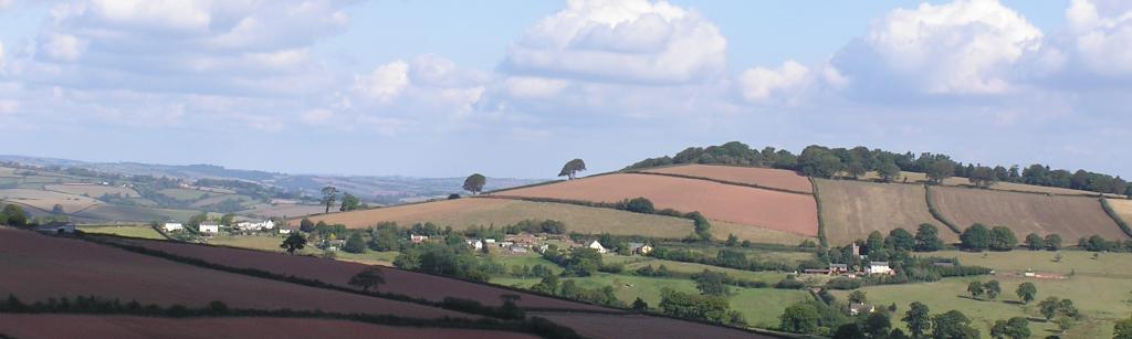 Landscape of Devon showing Cadbury Hill. Green and brown fields