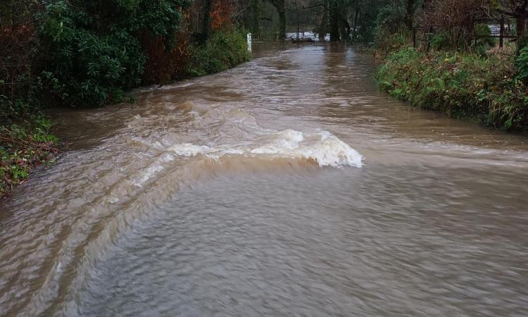 Flooded road